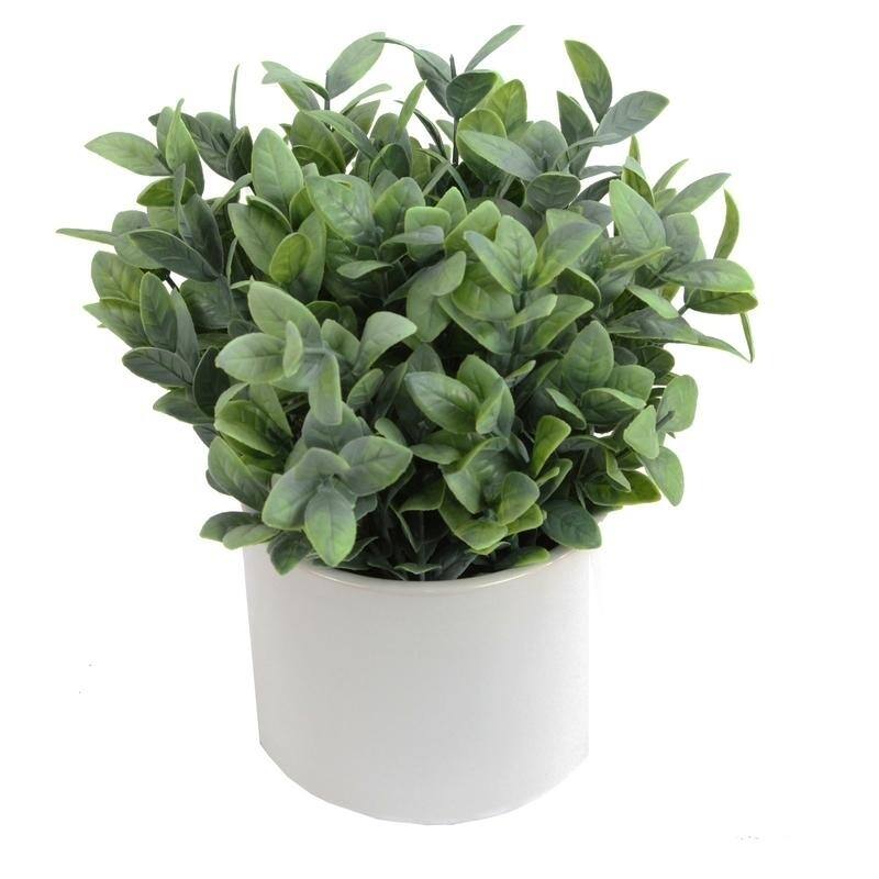 Artificial Frosted Ruscus Plant with Ceramic Pot. - ABN5P022-NTRL-R