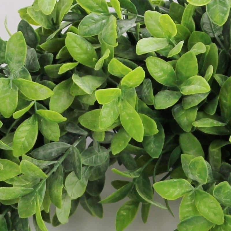 Artificial 18" Frosted English Boxwood Wreath