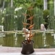 7-Tier Fountain undefined Modern Electric Outdoor Cascading Water ...