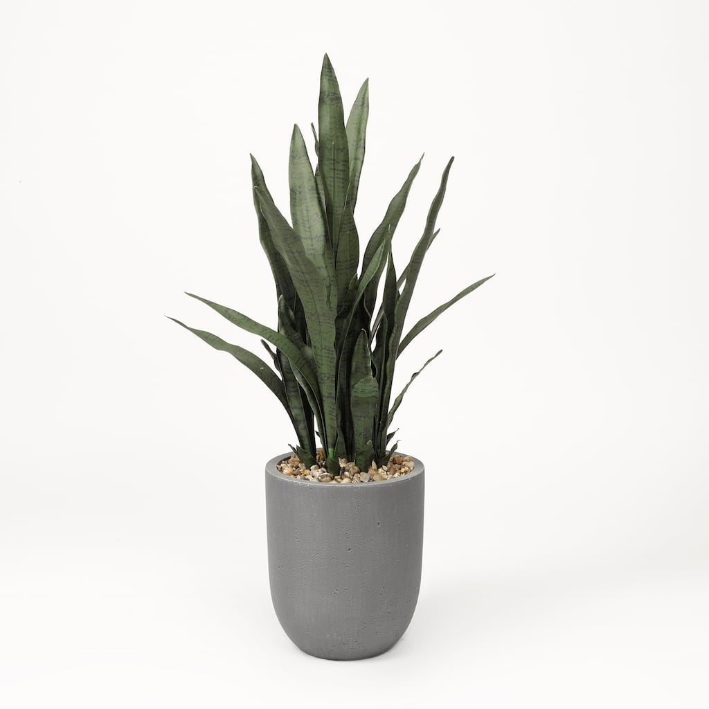 D&W Silks Sensaveria Plant in Round Grey Planter - Green