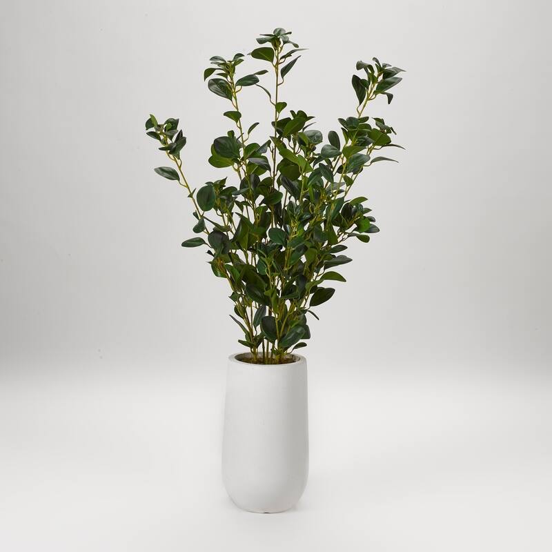 D&W Silks Ficus Plant in Round White Planter - Cream/Chocolate