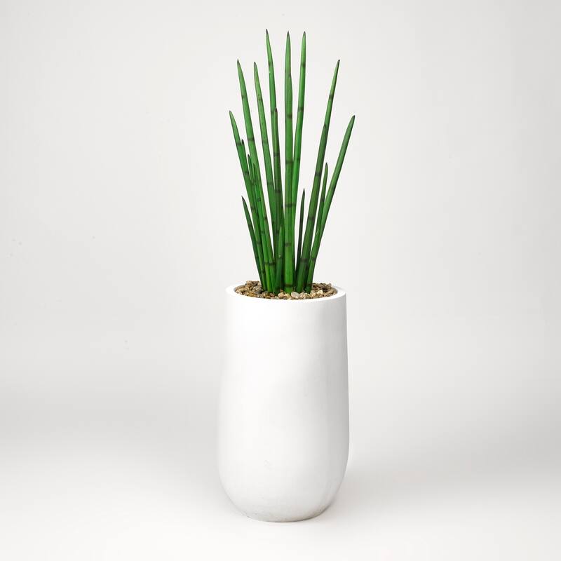 D&W Silks Snake Plant in Round White Planter - Green