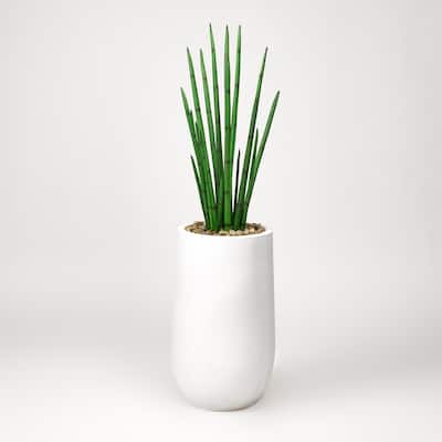D&W Silks Snake Plant in Round White Planter - Green