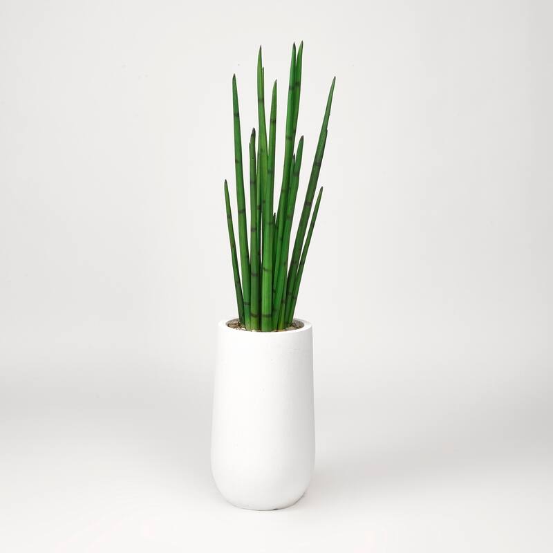 D&W Silks Snake Plant in Round White Planter - Green