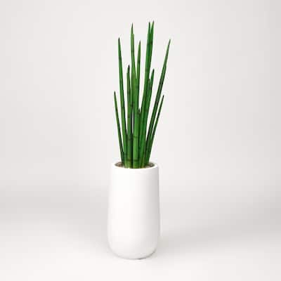 D&W Silks Snake Plant in Round White Planter - Green