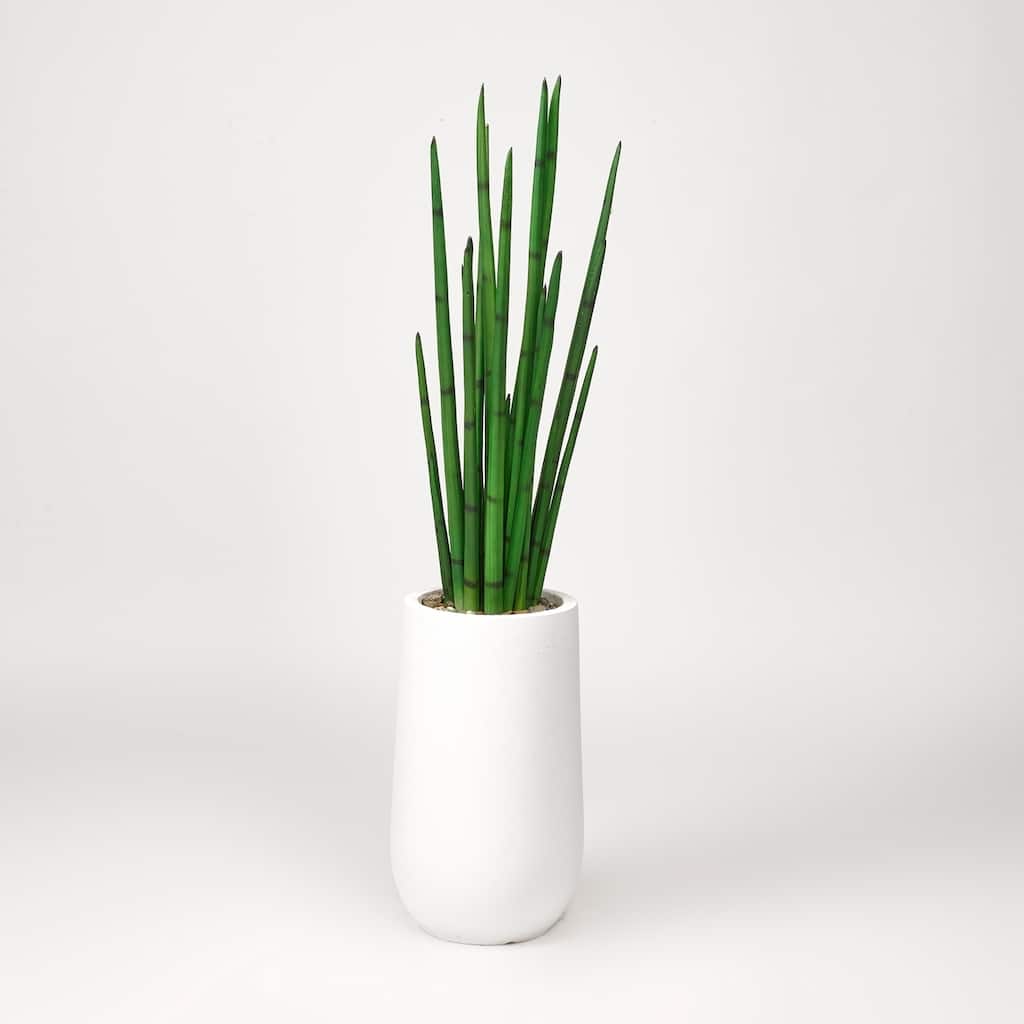 D&W Silks Snake Plant in Round White Planter - Green