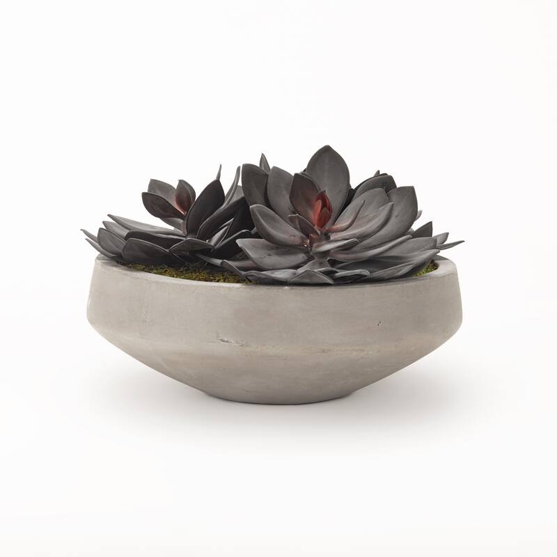 D&W Silks Extra Large Echeveria in Cement Bowl - Green