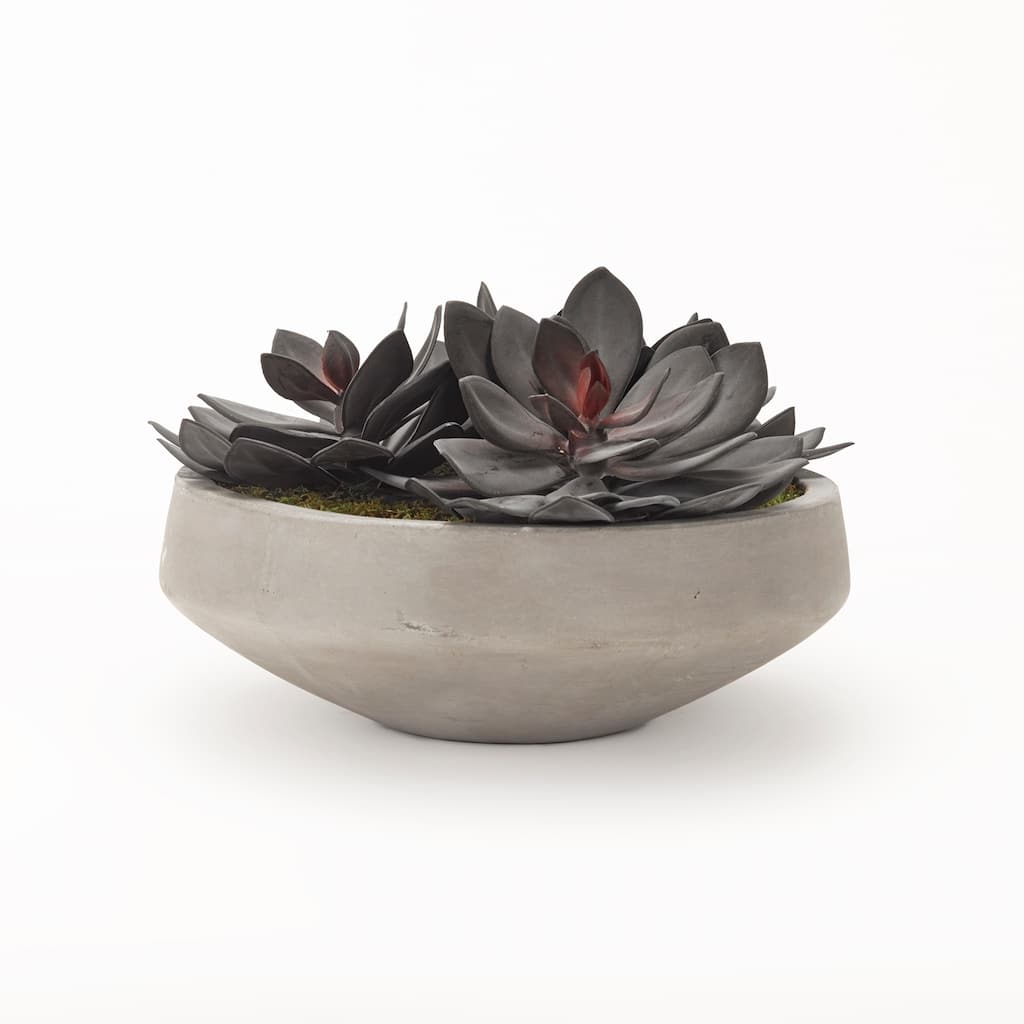 D&W Silks Extra Large Echeveria in Cement Bowl - Green