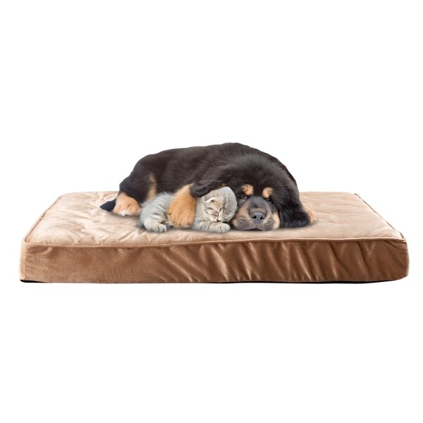 egg crate foam replacement for dog bed