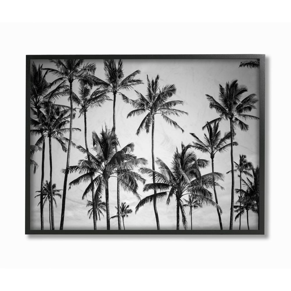 Shop The Stupell Home Decor Collection Palm Trees Skyline Black And White Photography 11 X 14 Proudly Made In Usa Multi Color Overstock 28273714
