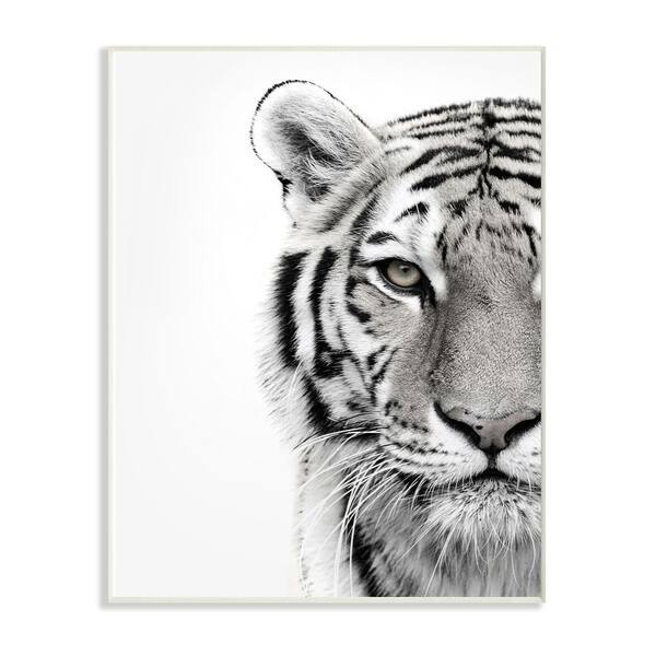Shop The Stupell Home Decor Collection White Tiger Close Up Black And White Photography 10 X 15 Proudly Made In Usa Multi Color On Sale Overstock 28274076