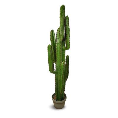 Euphorbia Artificial Plant