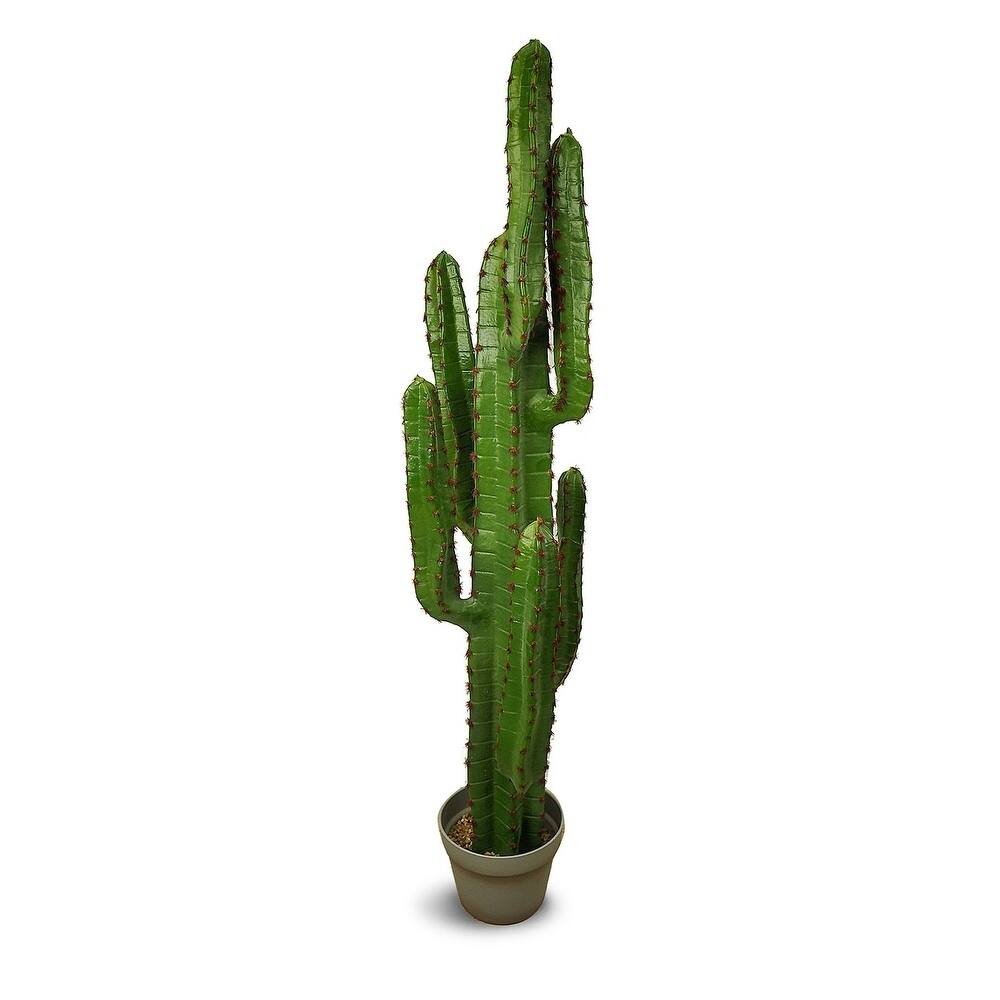 Euphorbia Artificial Plant