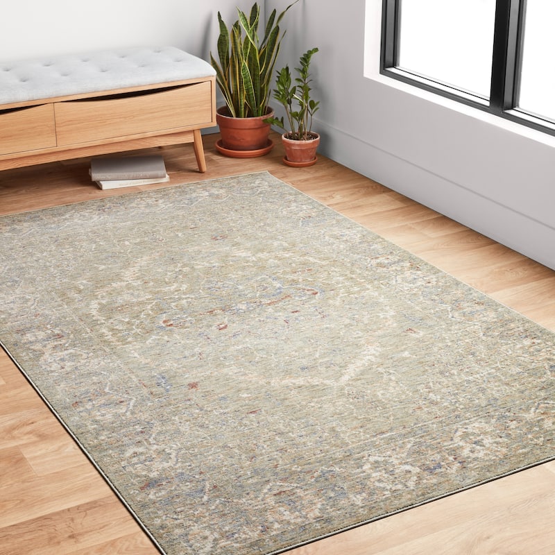 Alexander Home Austen Antique Washed Traditional Inspired Area Rug