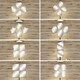 preview thumbnail 1 of 34, Small Decorative Wall Self Adhesive Shaped Mirrors - Set of 4