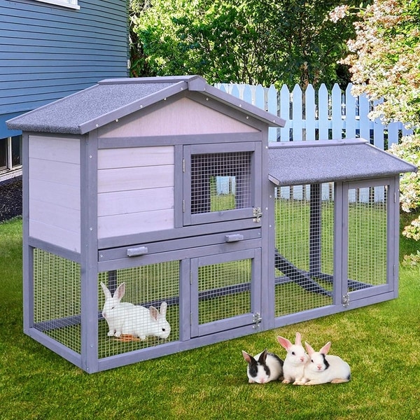 painted rabbit hutch