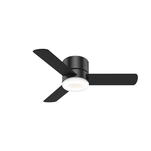 Hunter Fan 48 Inch Low Profile Ceiling Fan In White With