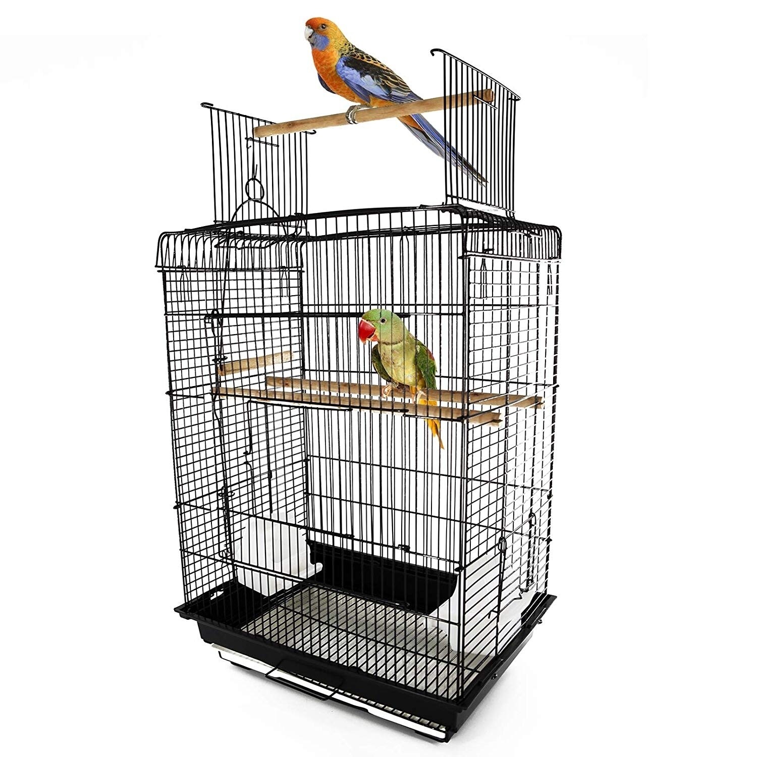 fancy parakeet cages