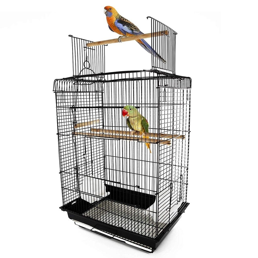 cool parrot cages