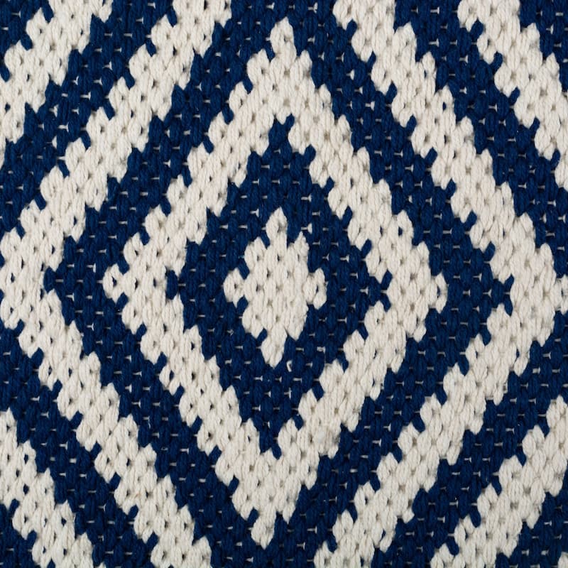 DII Braided Rug