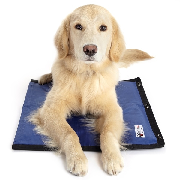 dog mat online