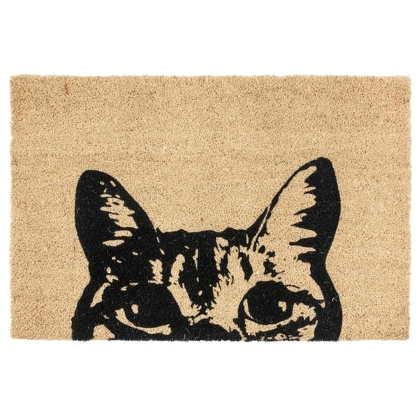 https://ak1.ostkcdn.com/images/products/28327578/Felix-24x36-Coir-Doormat-by-Kosas-Home-059c31f9-67f7-4c10-ac00-37244b8efb2f_600.jpg?impolicy=medium