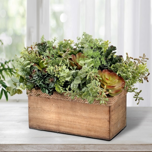 Plastic Mix Succulent In Rectangle Wood Box 12"L"
