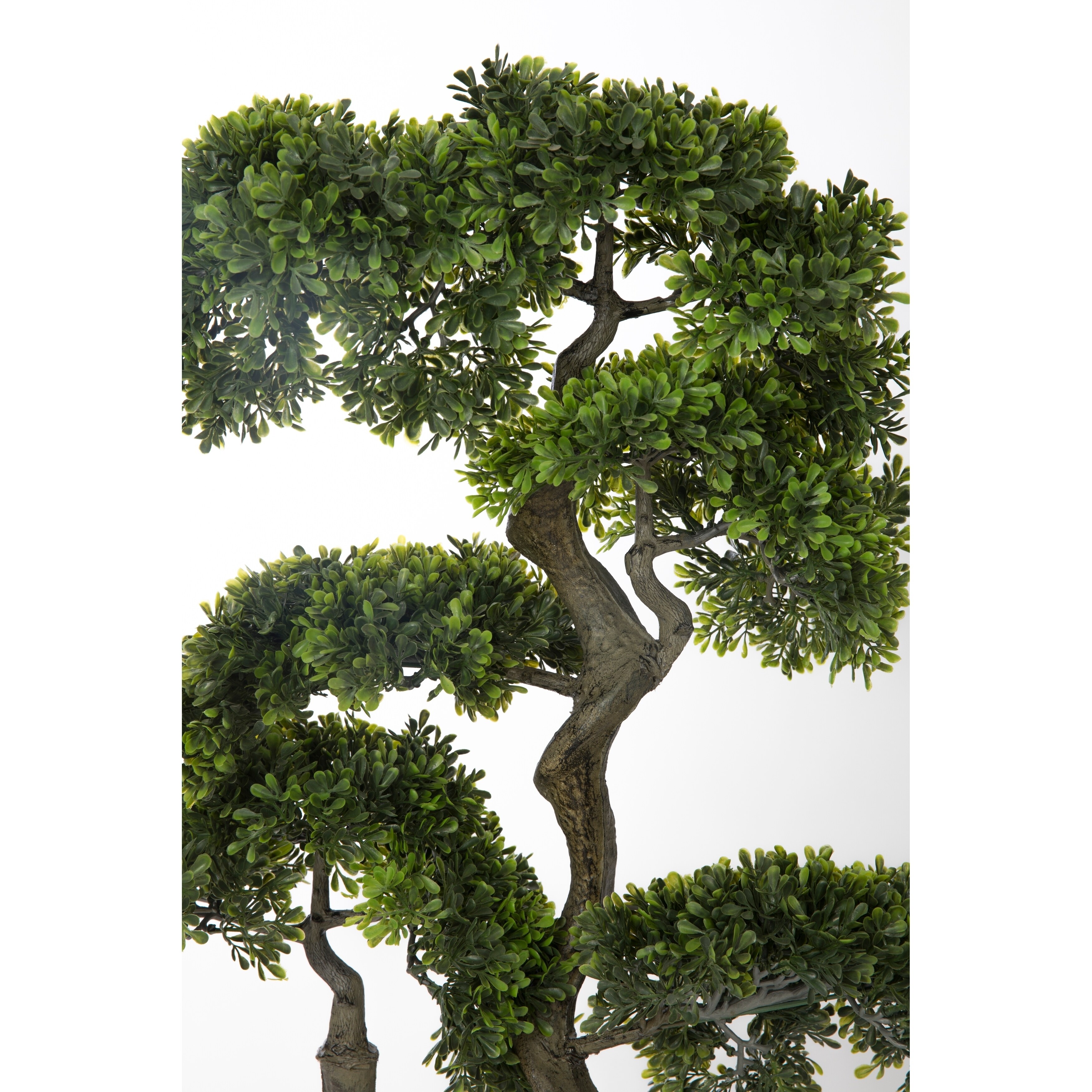 59.25" bonsai tree in Resin Planter - Bed Bath & Beyond - 28365318