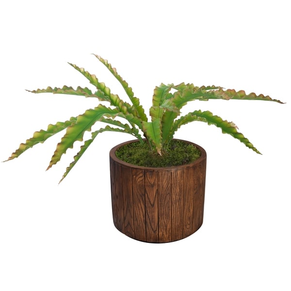 Laura Ashley 38.5"H Real touch agave in Fiberstone Planter