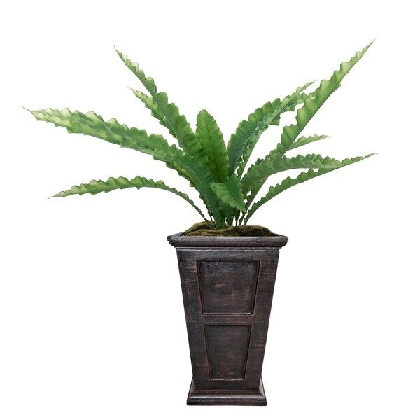 Laura Ashley 51" Real Touch Agave in Fiberstone Planter