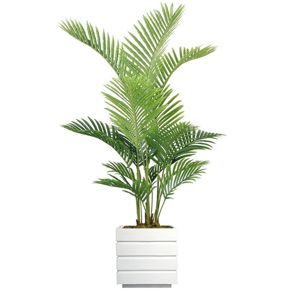 62" Real Touch Palm Tree in Fiberstone Planter