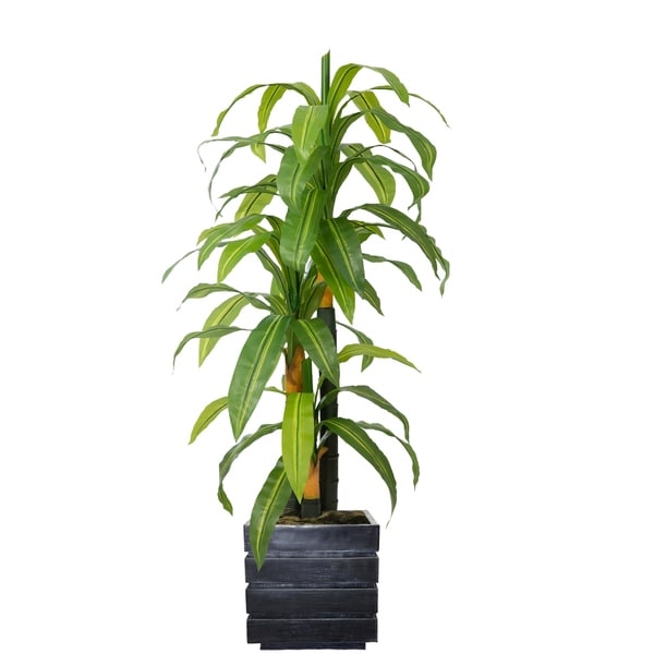 58" Real touch corn plant in Fiberstone Planter