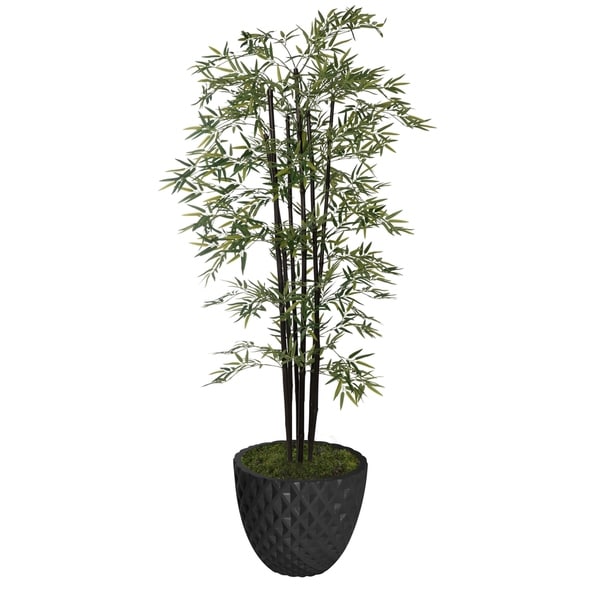 77.6" Tall Bamboo Tree with Decorative Black Poles and Fiberstone Planter