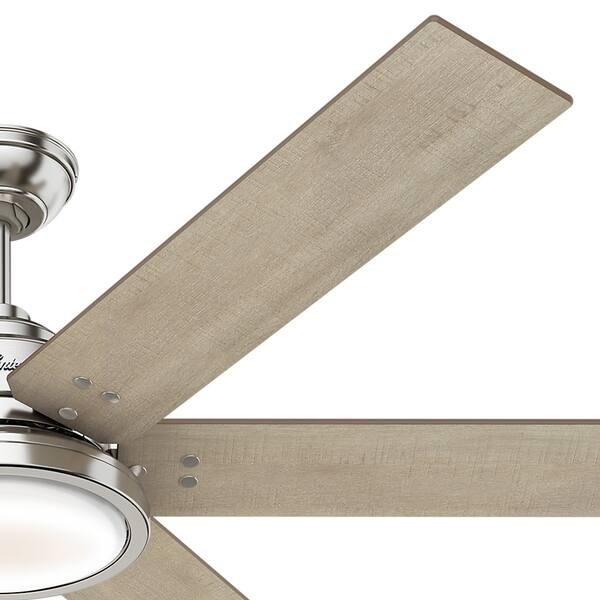 Shop Hunter 60 Warrant Brushed Nickel Ceiling Fan With Led