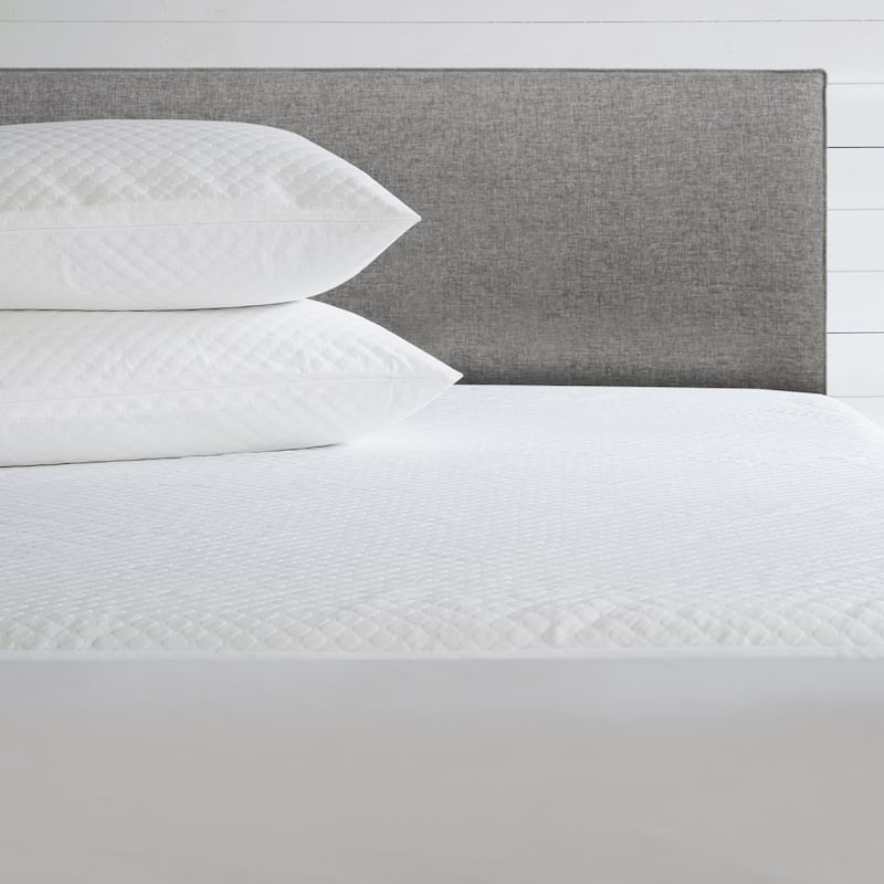 Fresh Ideas All-In-One Comfort Top Pillow Protectors with Bed Bug Blocker 2-Pack, Standard/Queen