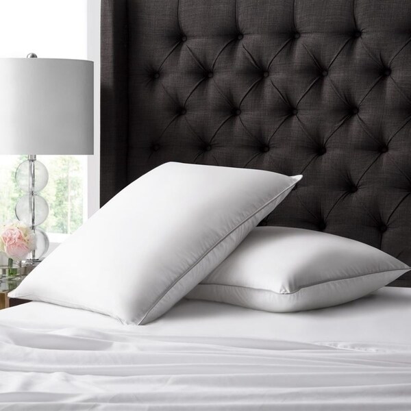 Shop Hotel Collection 2 Pack Hybrid Down Pillow Free Shipping