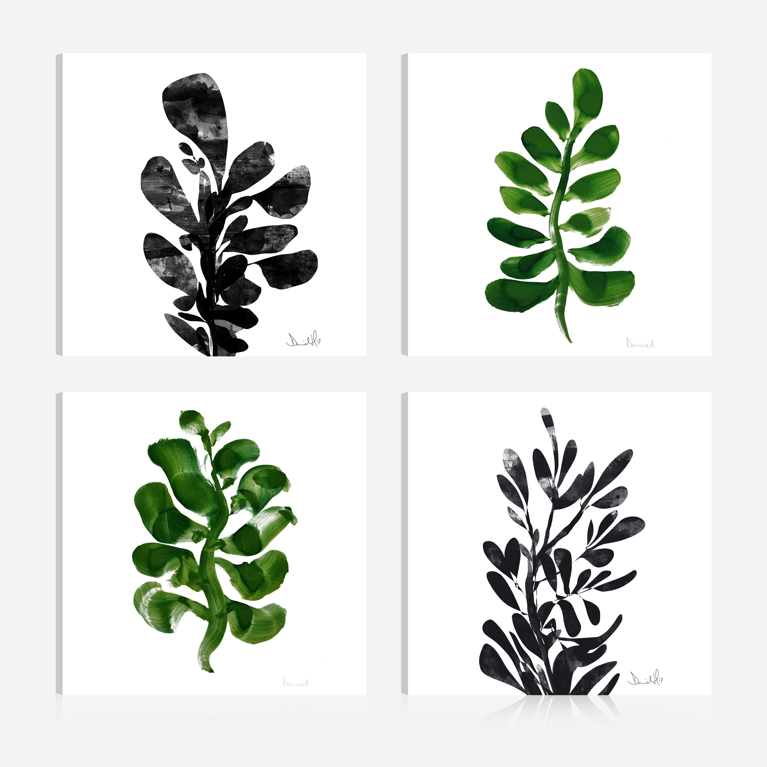 Shop Botanical Plant Prints Giclee Print Canvas Wall Art Set Of 4 16x16 16 X 16 Overstock 28377467