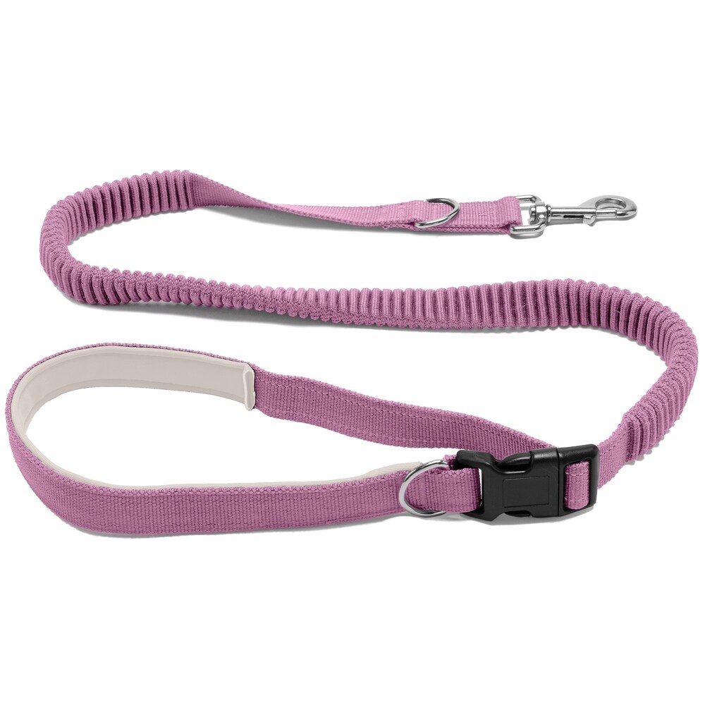 long bungee dog leash