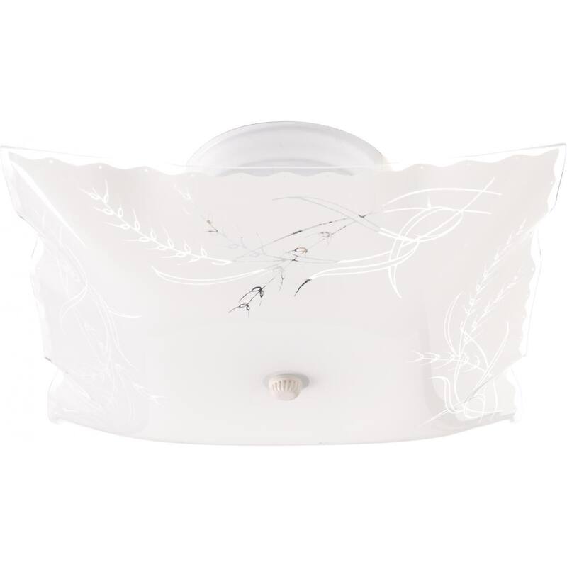 2-Light 12 In. Ceiling Fixture