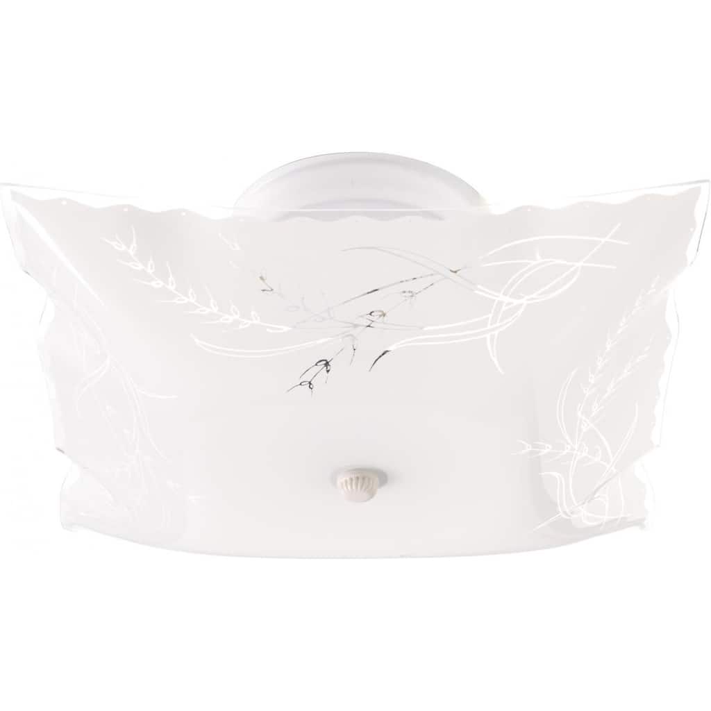 2-Light 12 In. Ceiling Fixture