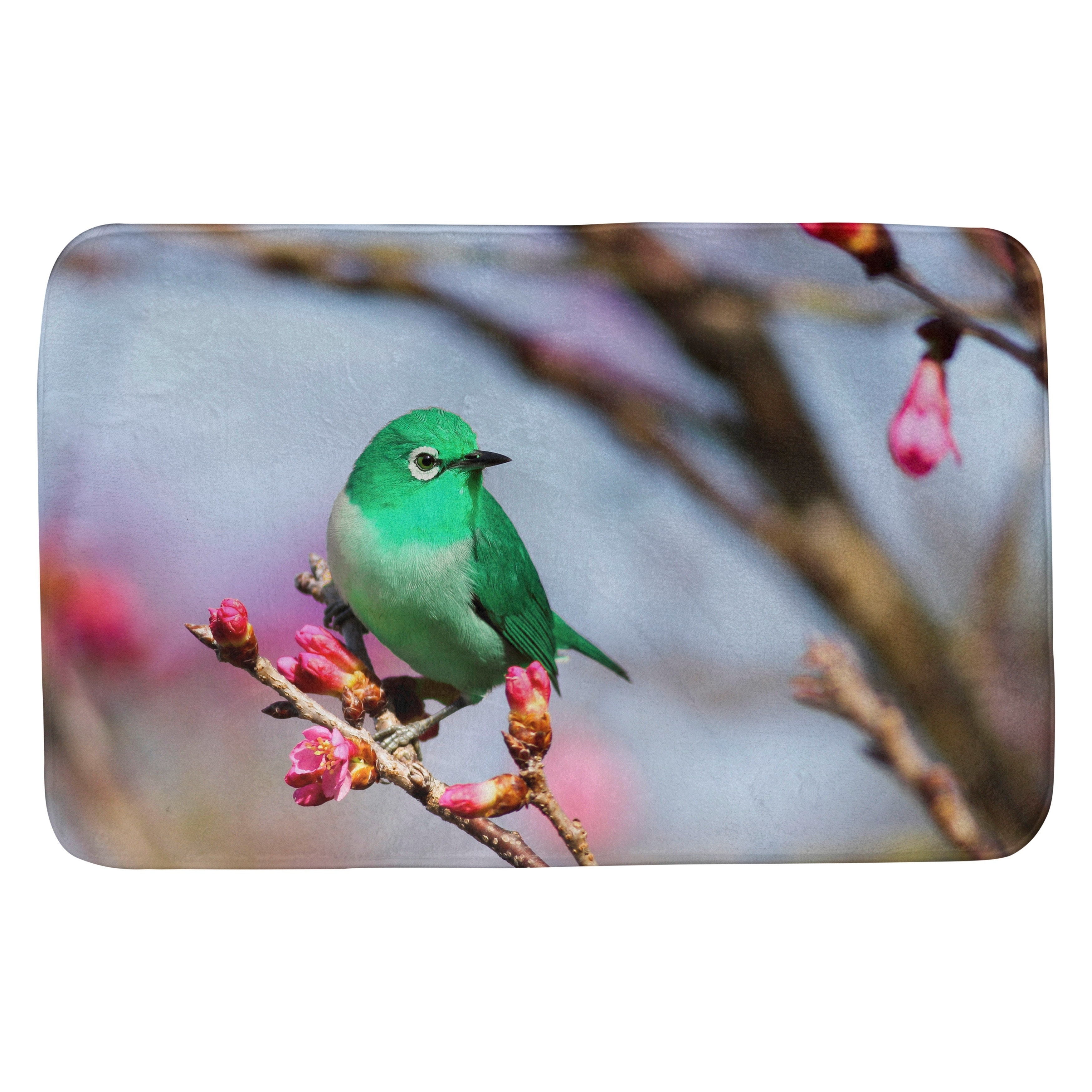 https://ak1.ostkcdn.com/images/products/28416497/Smith-Bird-on-a-Branch-Bath-Mat-d859a236-fd70-4aa1-abf9-7dc88ba567f7.jpg