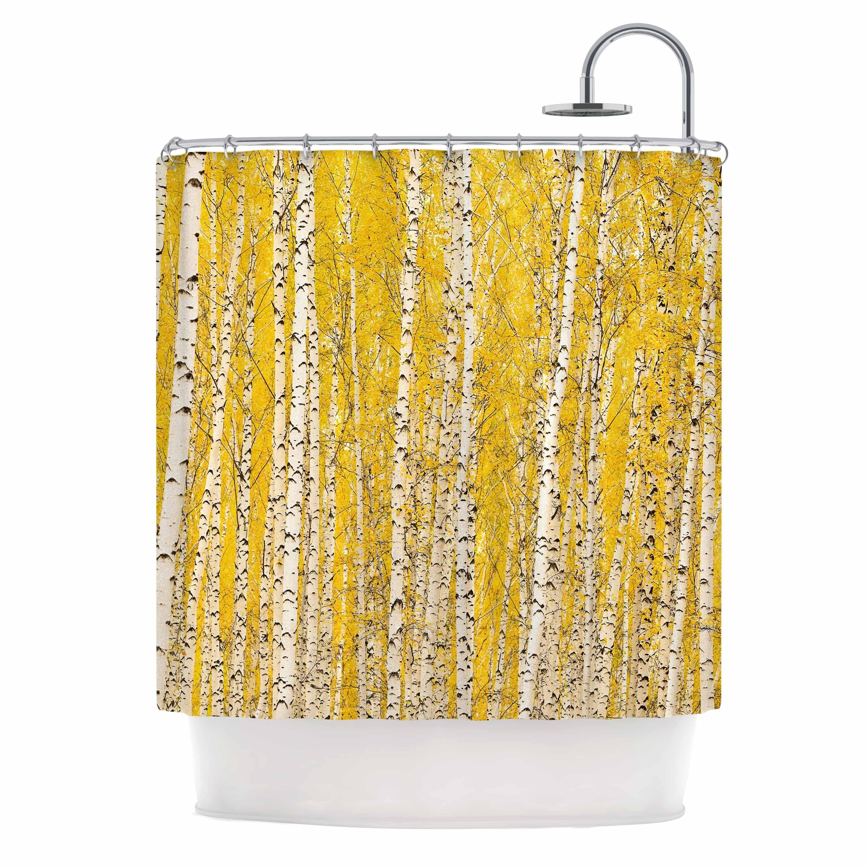Shop Susan Sanders Yellow Birch Trees Yellow White Nature