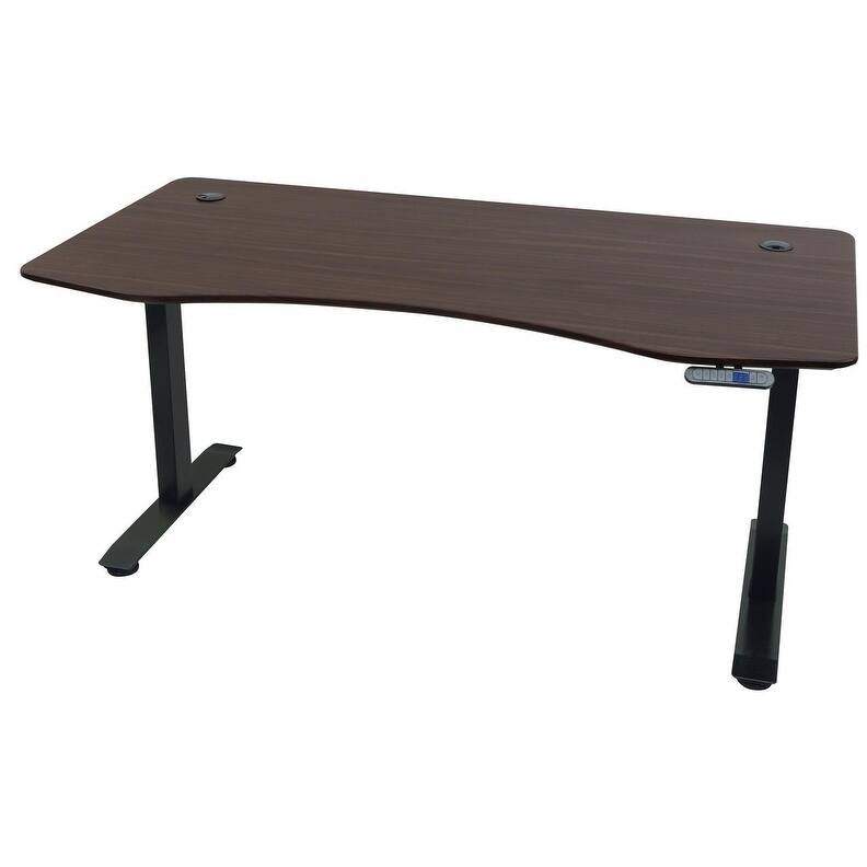 Motionwise 60 in. Managers Series Height Adjustable Desk - Walnut
