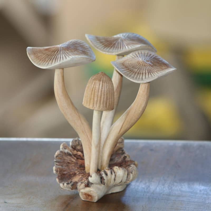 NOVICA Handmade Majestic Mushroom Wood Sculpture (Indonesia)