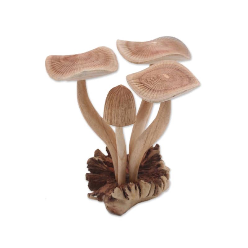 NOVICA Handmade Majestic Mushroom Wood Sculpture (Indonesia)