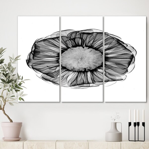 Designart 'Zinnia Montage Black & White X-Ray' Cottage Canvas Art Print - 36x28 - 3 Panels