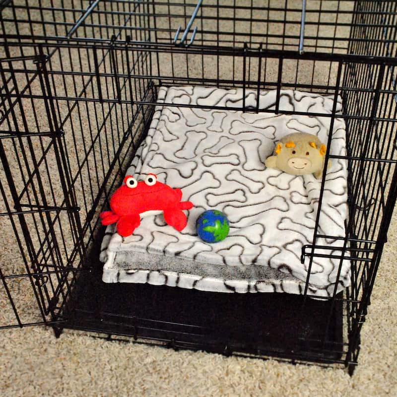 DII Embossed Bone Print Pet Blanket