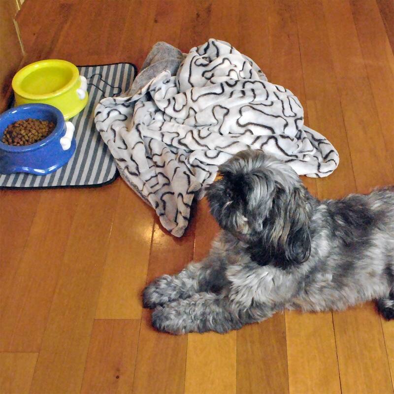 DII Embossed Bone Print Pet Blanket