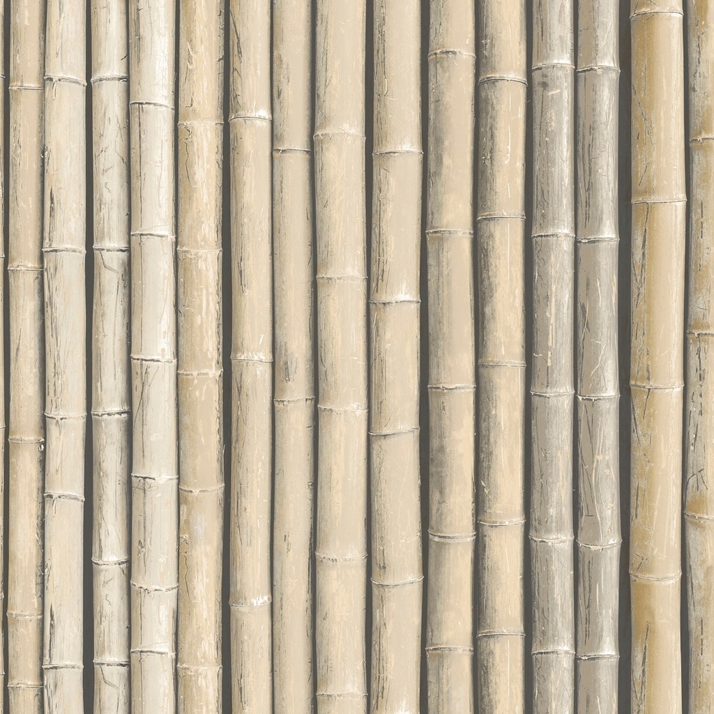 Bamboo Material Texture Outlet Stores