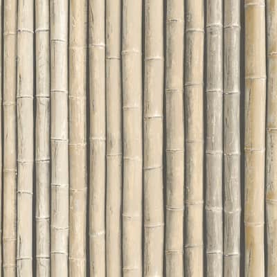 Bamboo Bamboo Wallpaper Wood Texture in Brown Beige Light Beige Parchment
